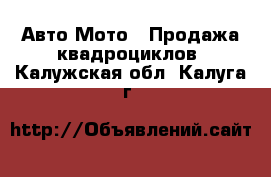 Авто Мото - Продажа квадроциклов. Калужская обл.,Калуга г.